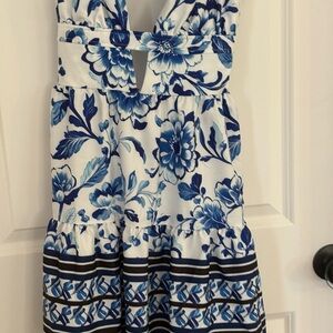 Floral Blue and White Dress